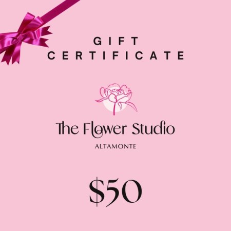 Gift Certificate - 50