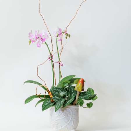 Elegant and artistic, this stunning arrangement features a delicate Mini Orchid, complemented by the graceful curves of Curly Willow and a touch of artistic wire art.