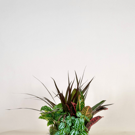 A beautiful collection of fresh, lush plants artfully arranged in a sleek ceramic pot.