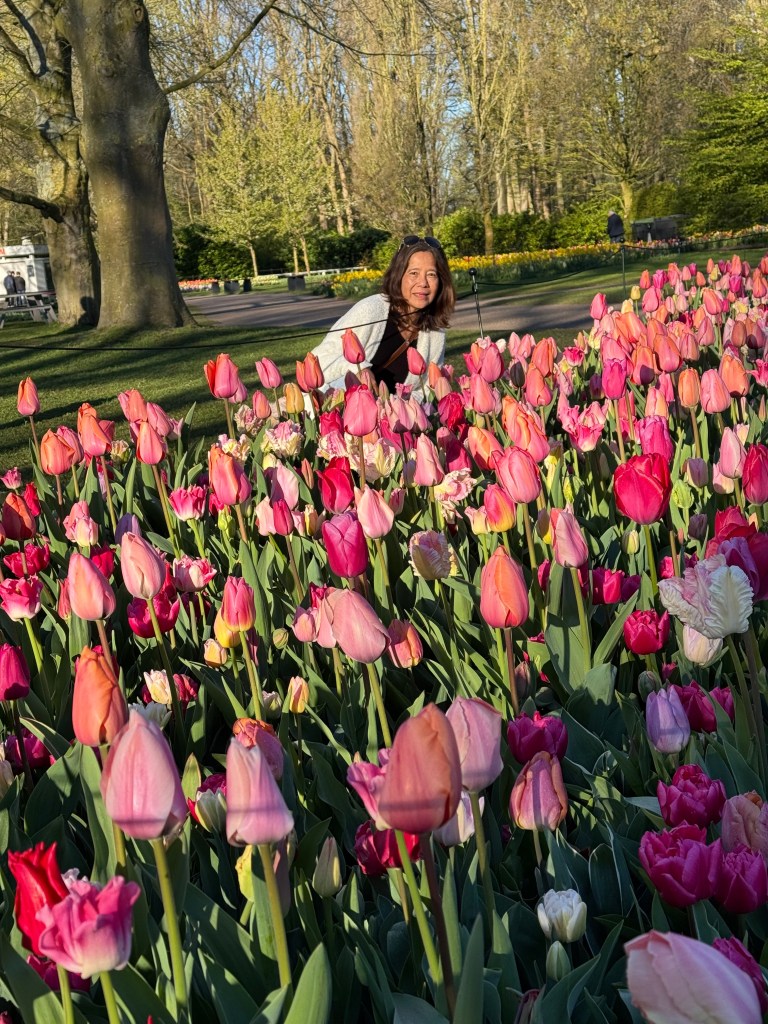 A woman poses amidst a colorful field of blooming tulips in various shades of pink, red, and white, with trees and a park setting in the background.